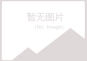 延川县晓绿造纸有限公司